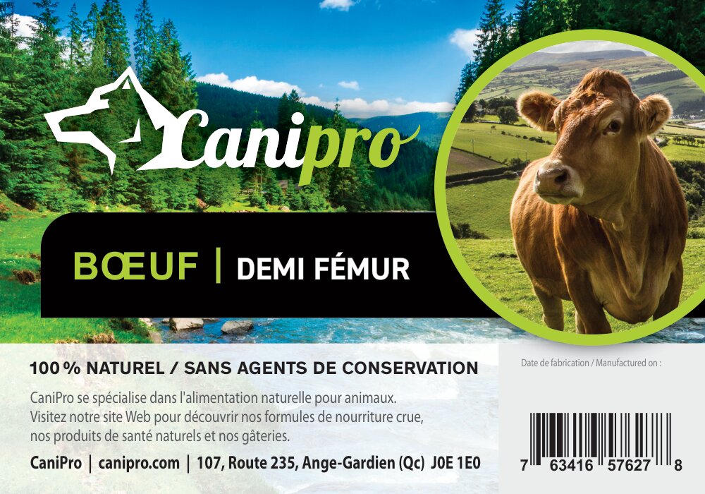 Fémur de boeuf - Canipro