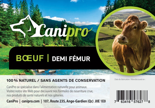 Fémur de boeuf - Canipro