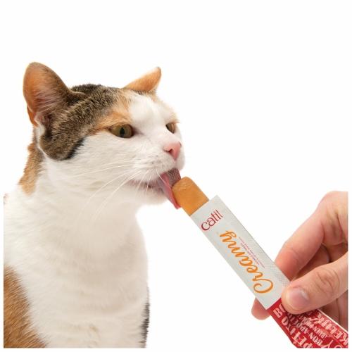 LIQUIDATION Régal Creamy au saumon - Catit