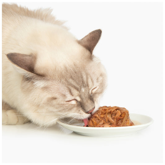 Formule Poulet avec saumon et carottes - Catit Dinner