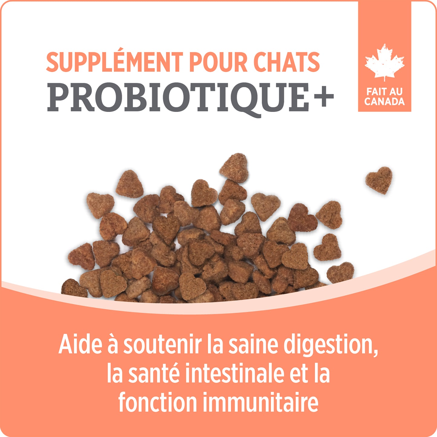 Supplément probiotique+ pour chat - Nutrience Care