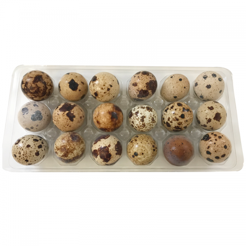 LIQUIDATION Oeufs de cailles - Big Country Raw