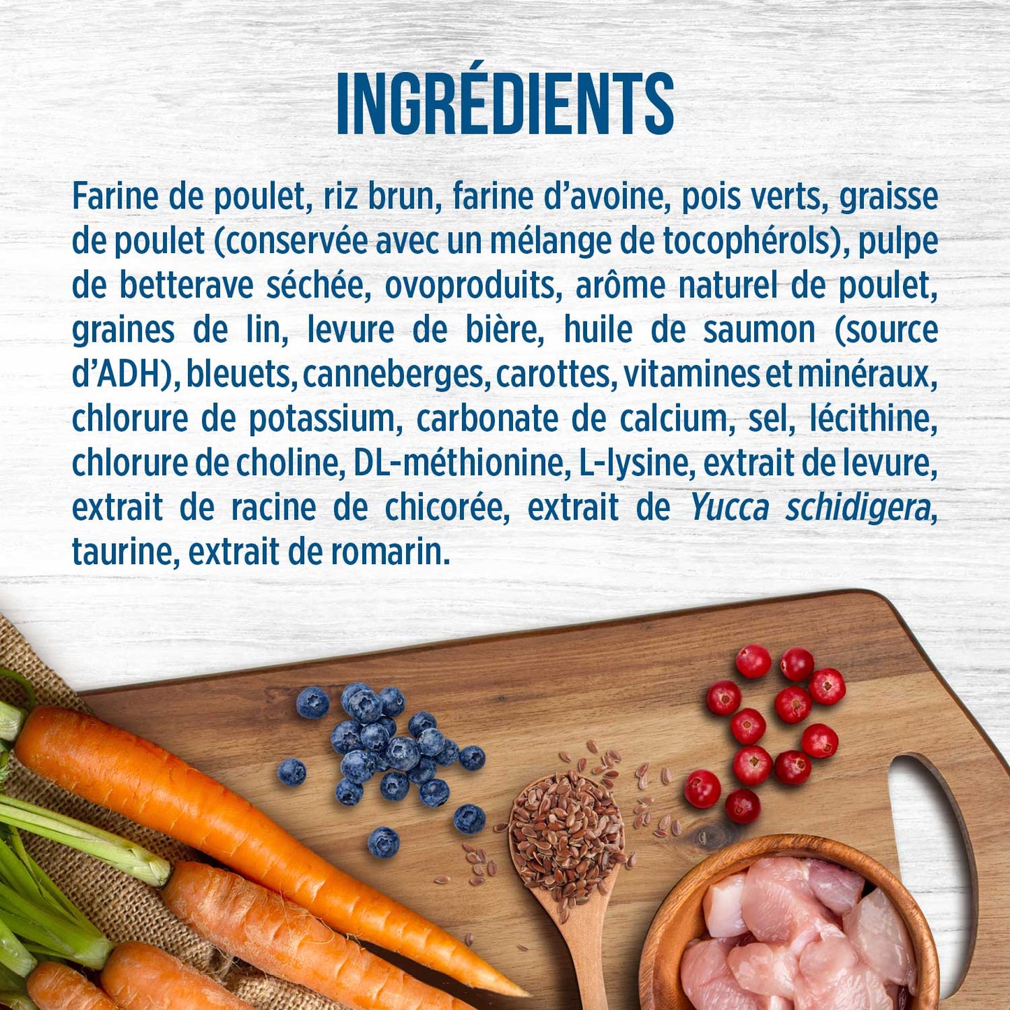 Formule Chatons en santé Poulet et riz brun - Nutrience Original