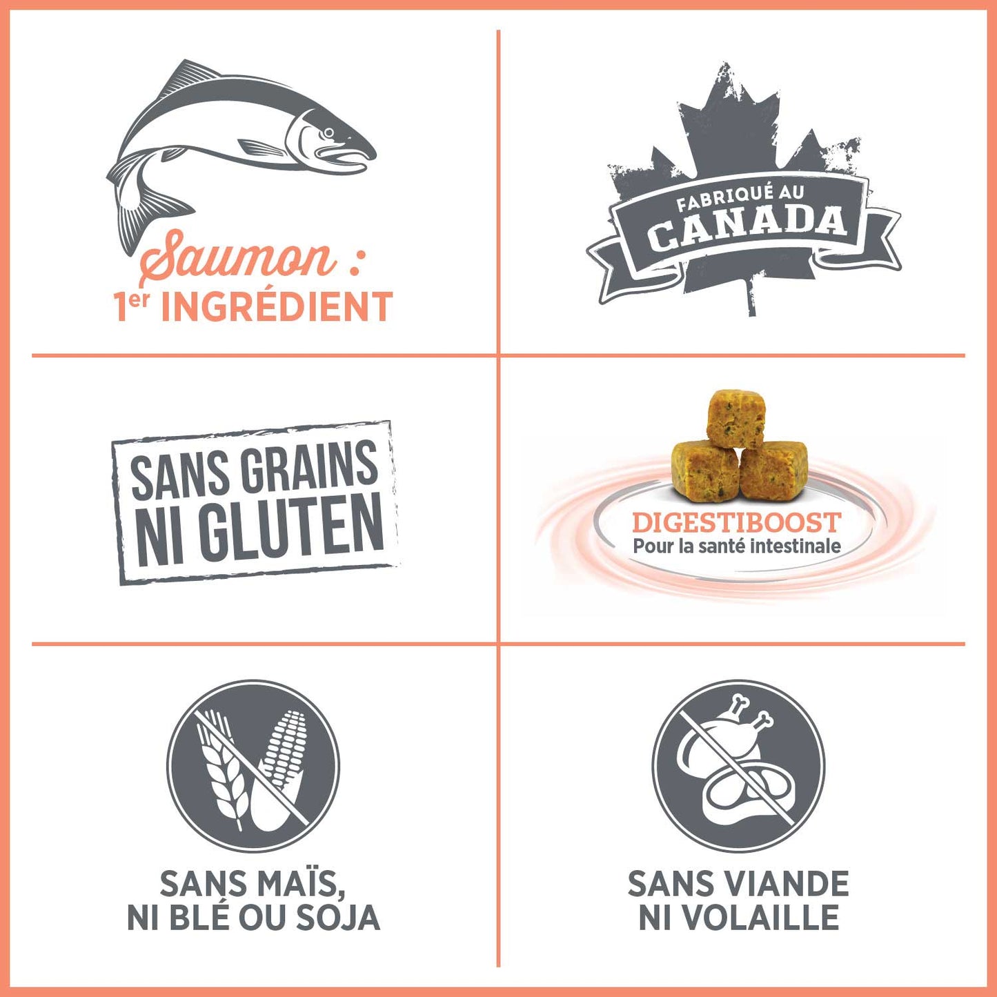 Formule peau et estomac sensibles pour chien - Nutrience Care