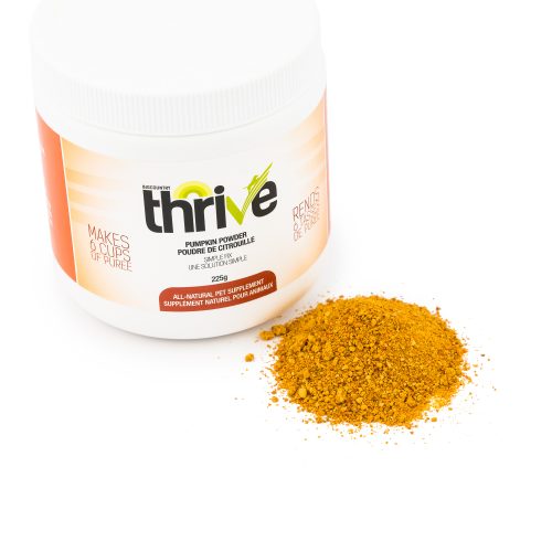 Poudre de Citrouille - Thrive