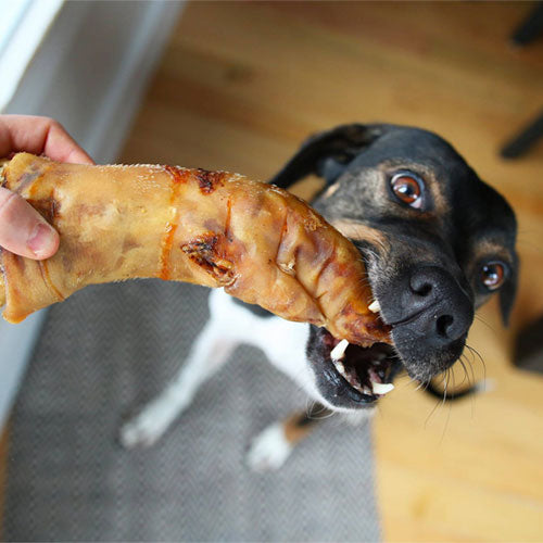 LIQUIDATION Patte de porc déshydraté - Hero