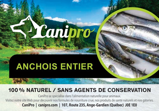 Anchois - Canipro