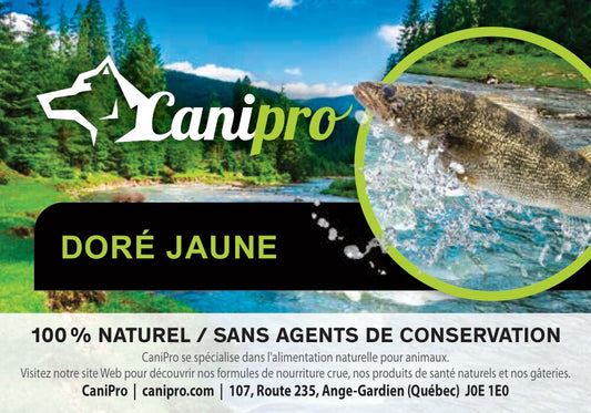 Filet de doré jaune - Canipro
