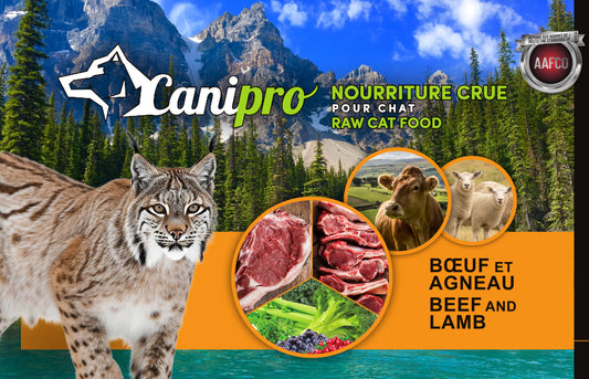 Recette Félin Boeuf et Agneau - Canipro