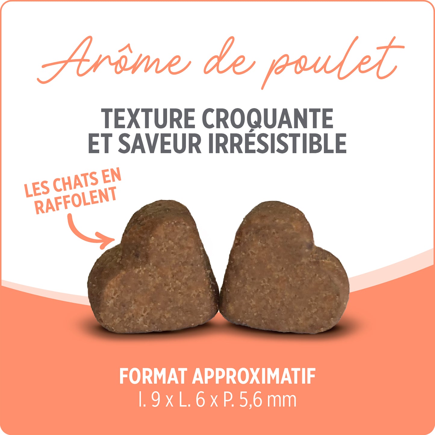 Supplément probiotique+ pour chat - Nutrience Care