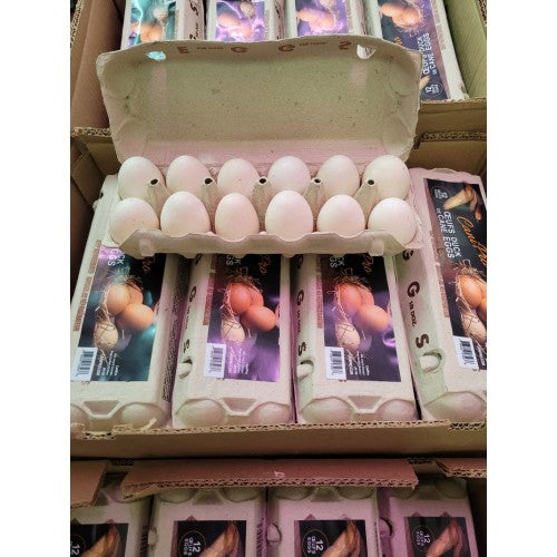 Oeuf de cane - Canipro