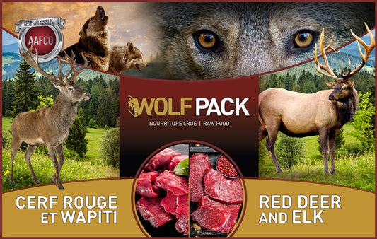 Recette Cerf rouge et Wapiti - WolfPack