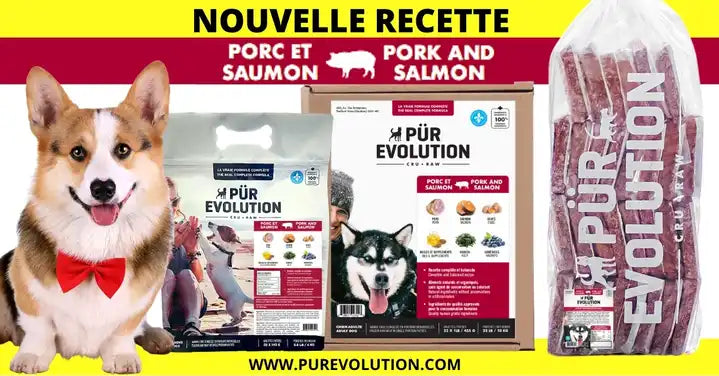 Recette Porc et Saumon - Pur Évolution