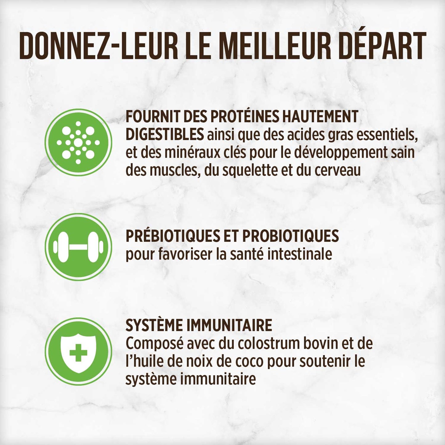 Lait de remplacement pour chatons - Nutrience