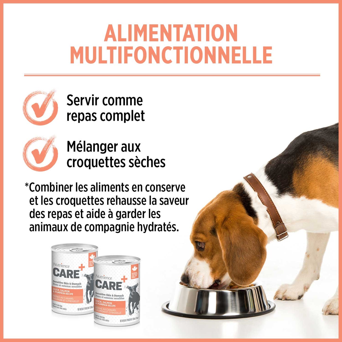 Formule Peau et estomac sensibles pour chien - Nutrience Care