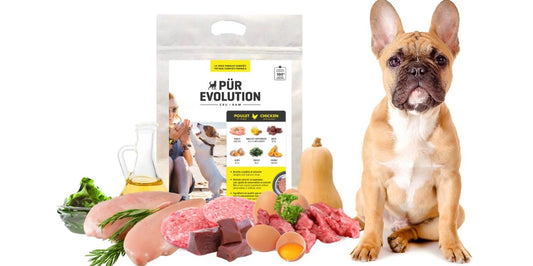 Recette Poulet et Courge - Pur Évolution